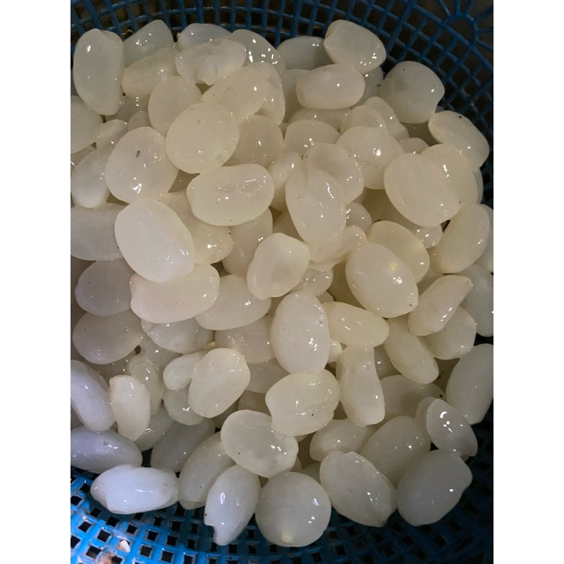 

KOLANG KALING origina dijamin empuk