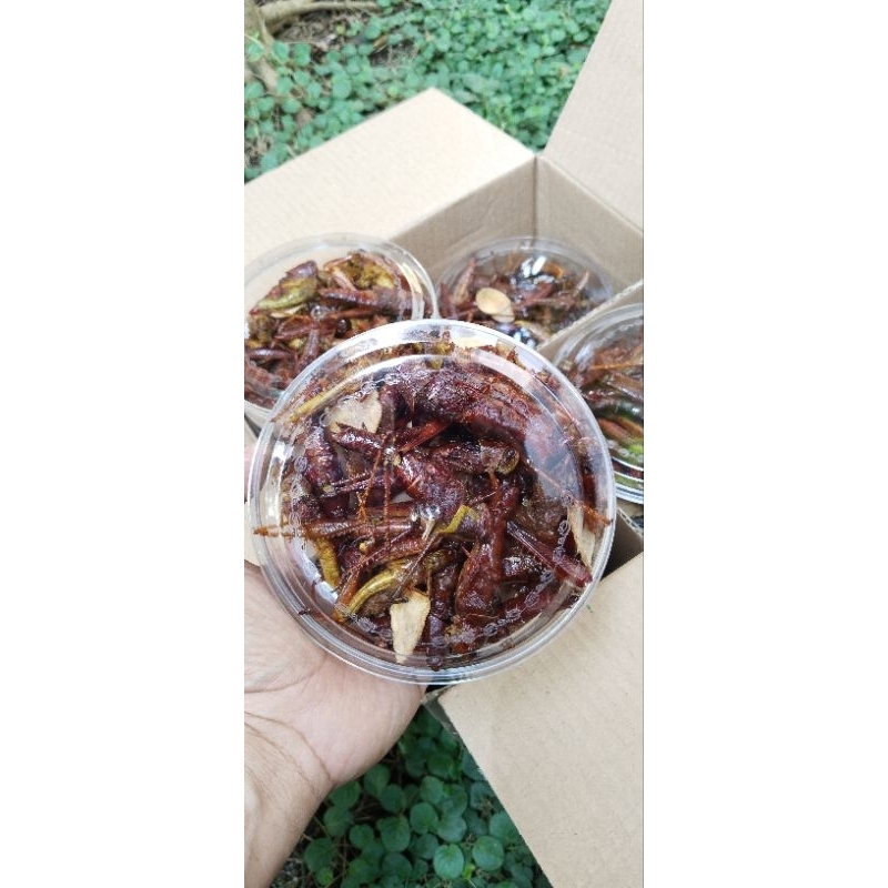 

COD WALANG KAYU/BELALANG BESAR TOPLES NASTAR