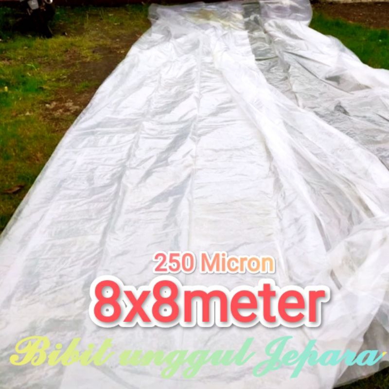 PLASTIK UV GREEN HOUSE 200 MICRON 8x8M