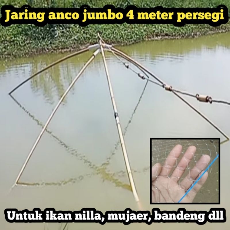 Branjang ikan nilla / Jaring anco jumbo ukuran 4 meter persegi tangkul ikan nilla