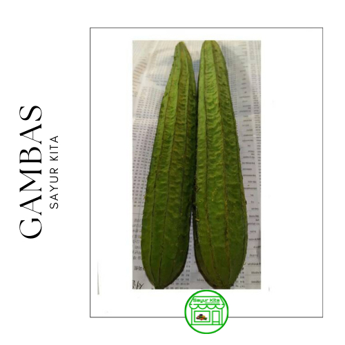 

Gambas/Oyong 500 gram