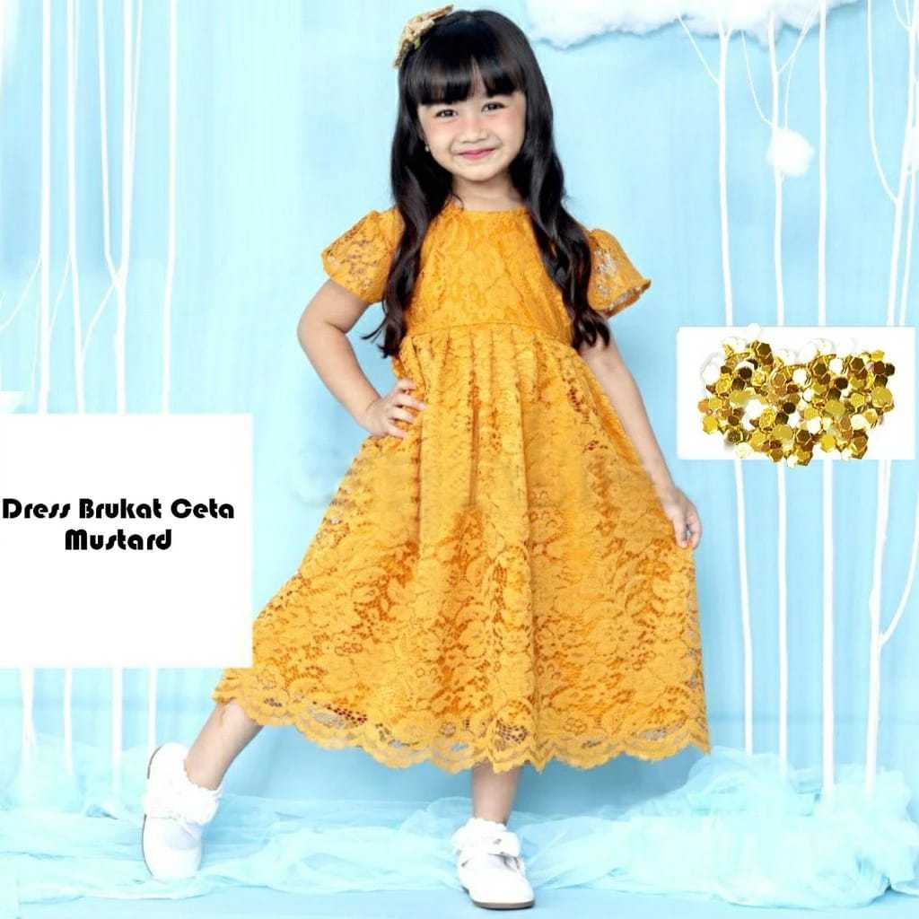 Dress Cantik Anak Perempuan Buaju Dres Gaun Party Gaun Pesta Gaun Ke Gereja Dres Anak Kondangan Dri 