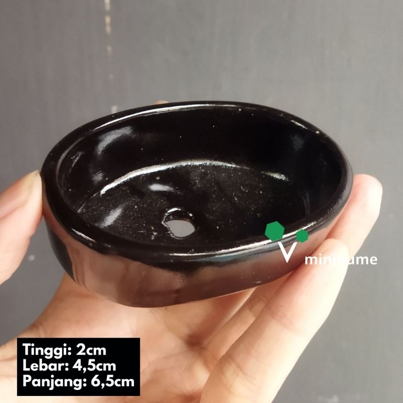 Pot Mini, Pot Bonsai, Pot Unik Tanaman Hias