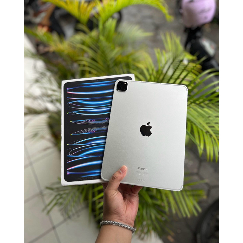ipad pro M2 256 wifi Cell resmi indo garansi on