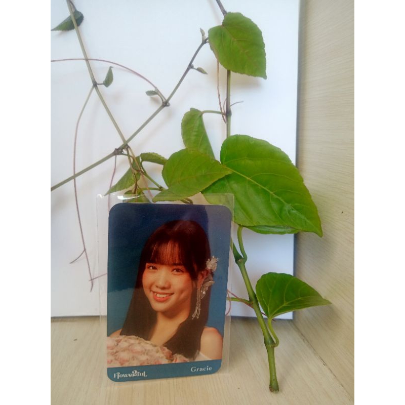 PHOTOCARD JKT48 GRACIE FLOWERFULL 2023