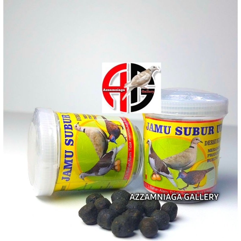 JAMU SUBUR URITAN TEKUKUR PERKUTUT PUTER