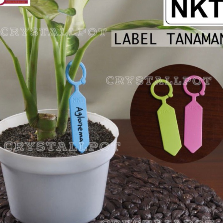 

COD label tag tanaman nkt warna warni name tag bahan tebal per pack isi 5 pcs