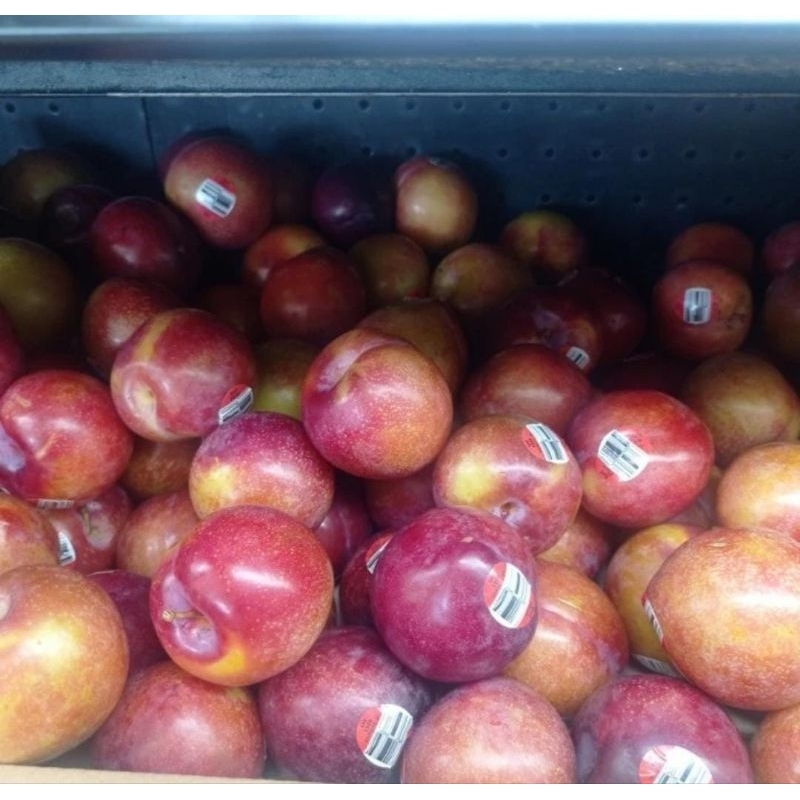 

Plum Red Amber Jewel Australia 1 Kg