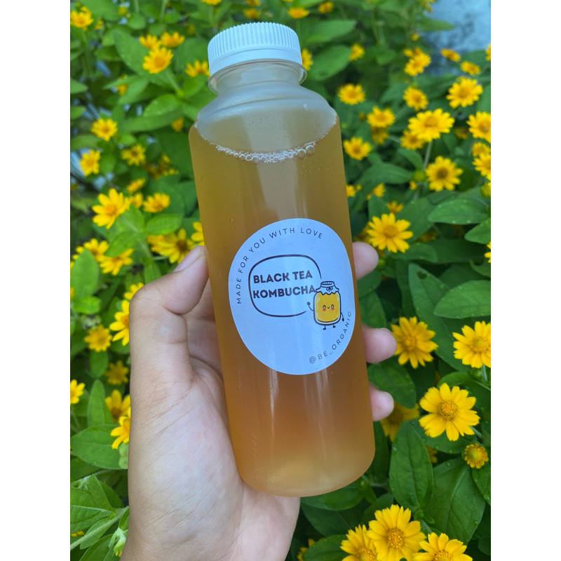 

Kombucha black tea / teh diet
