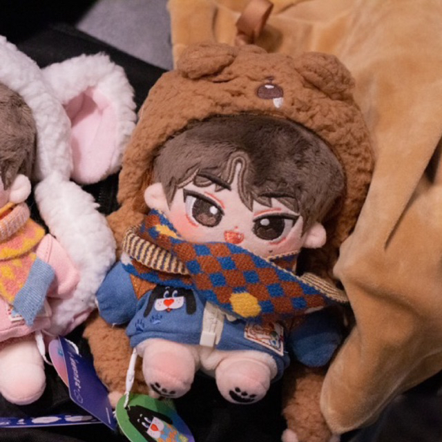 ready seventeen doll mingyu