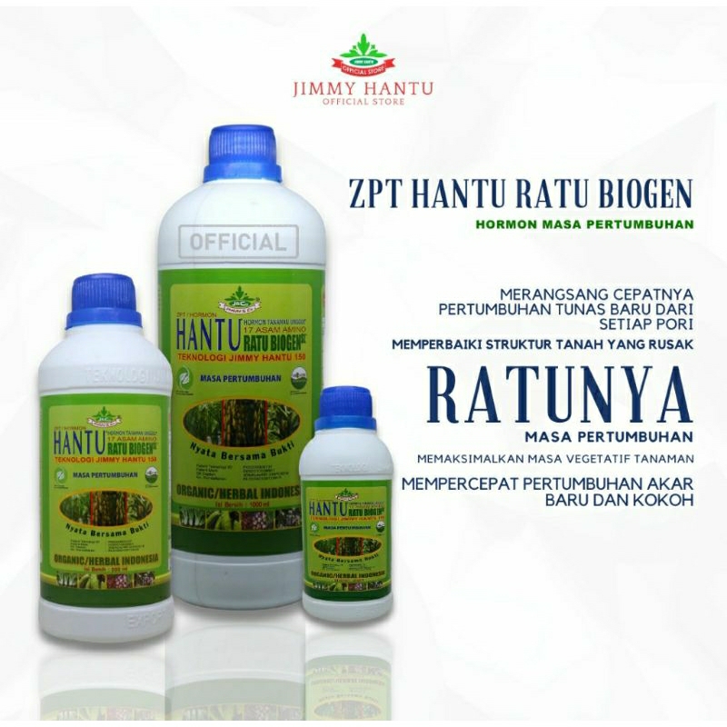 ZPT Jimmy Hantu Ratu Biogen (Masa Pertumbuhan)