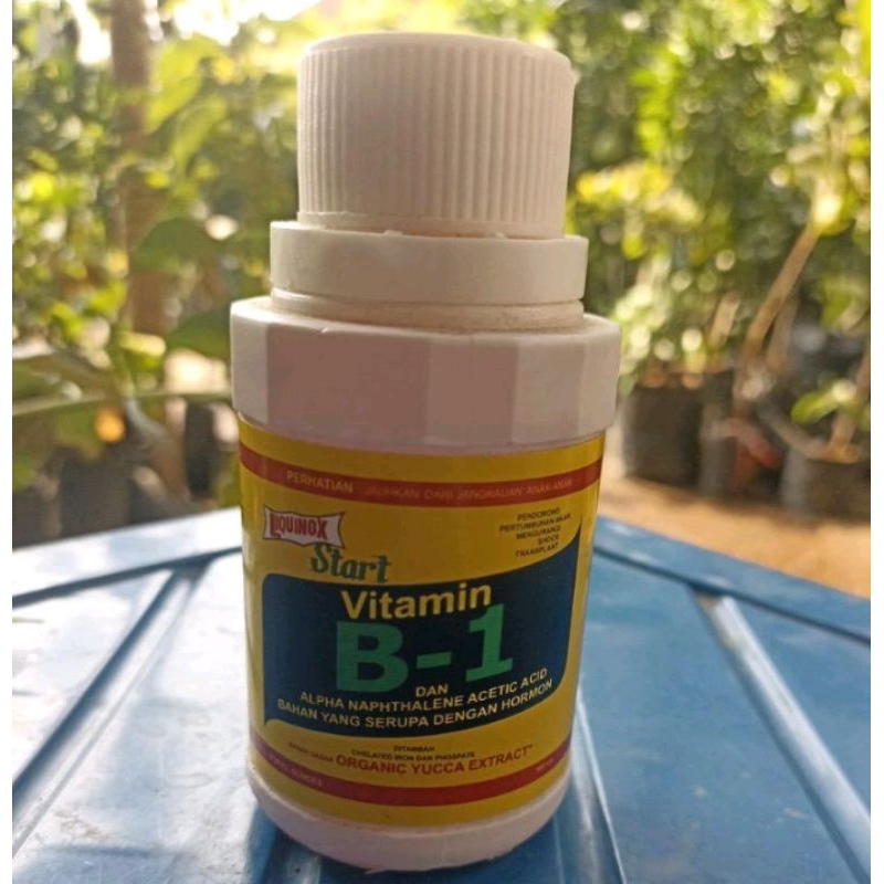 vitamin B1 untuk tanaman perangsang akar(tumbuh akar)