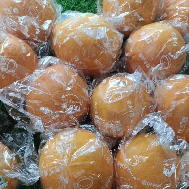 

JERUK SUNKIST MADU MANIS TANPA BIJI@ 500 gr