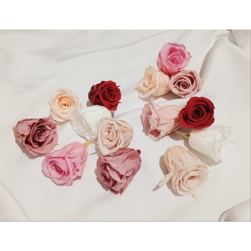 PRESERVED ROSE/MAWAR