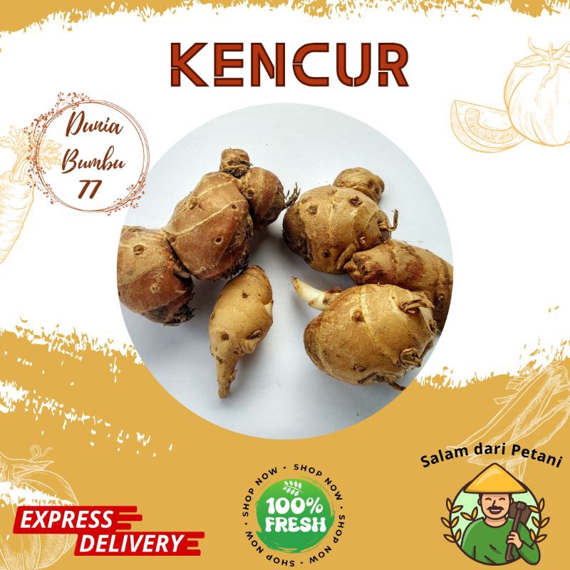 

Kencur 100 gr