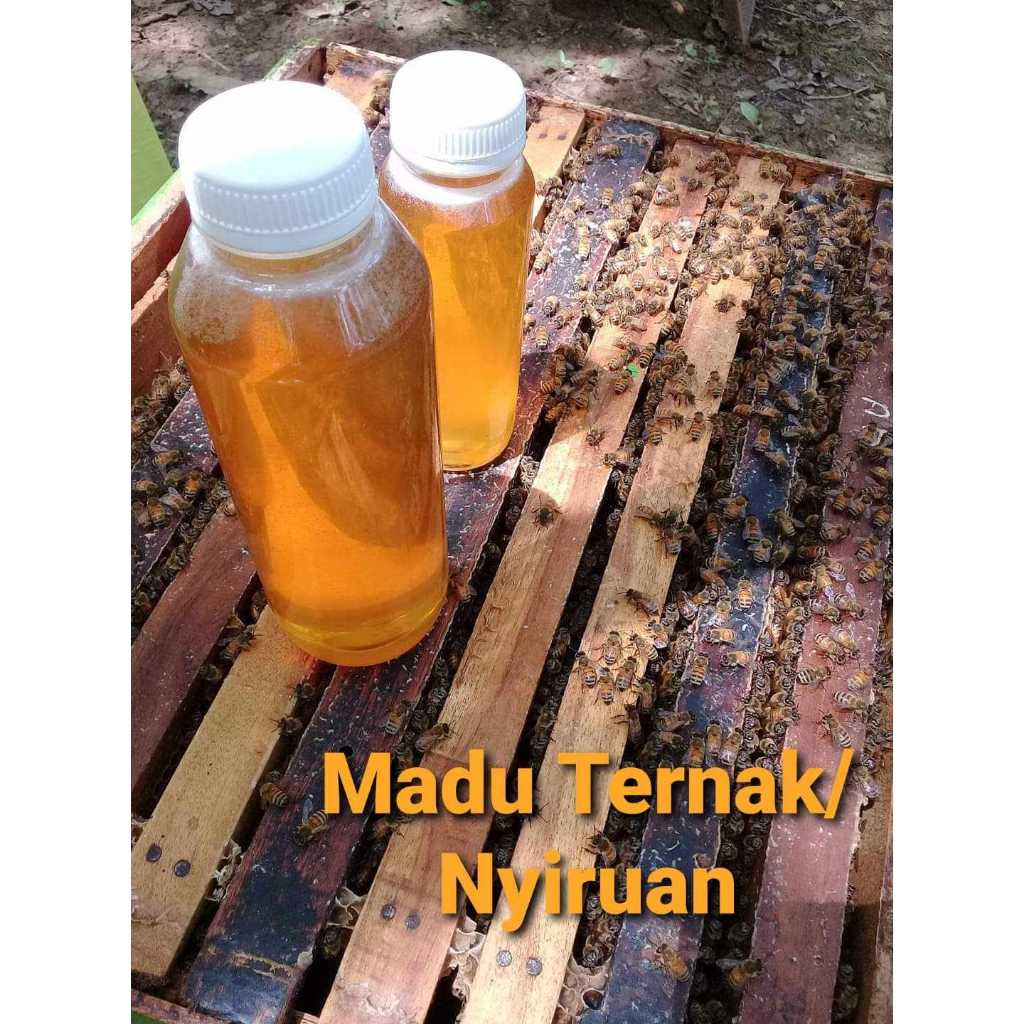 

Madu Ternak/ Nyiruan 250 Gram