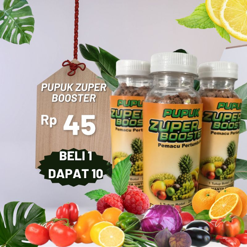 PUPUK PERANGSANG PEMBUAHAN ZUPER BOOSTER BELI 1 DAPAT 10