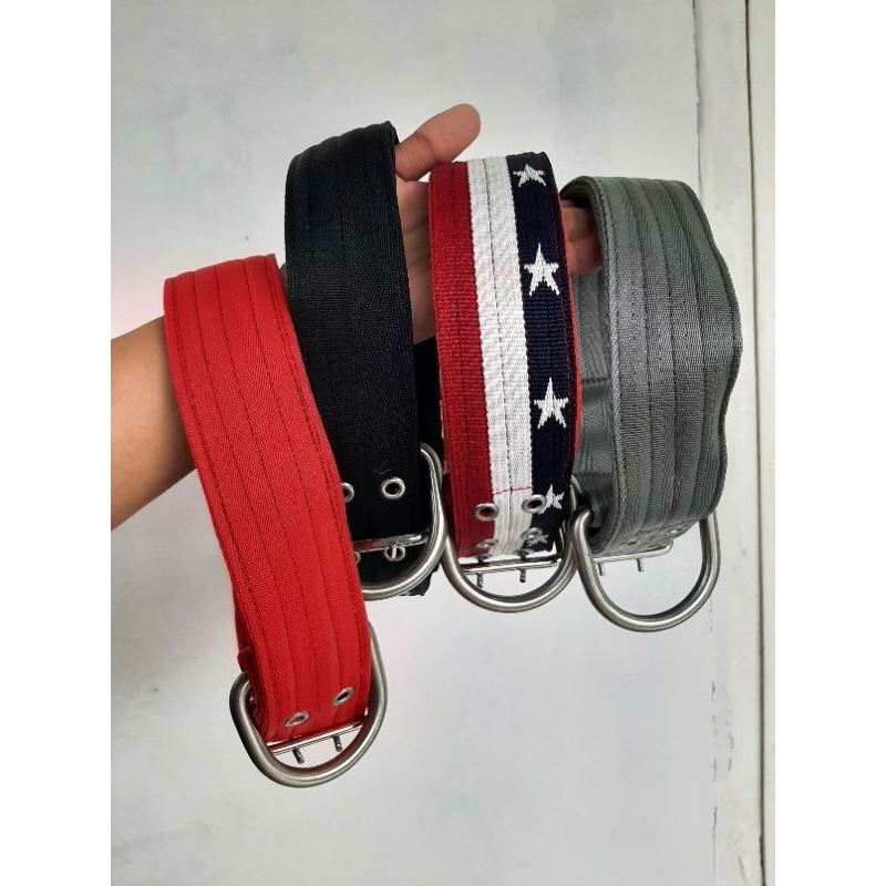 KALUNG ANJING RAS BESAR PITBULL