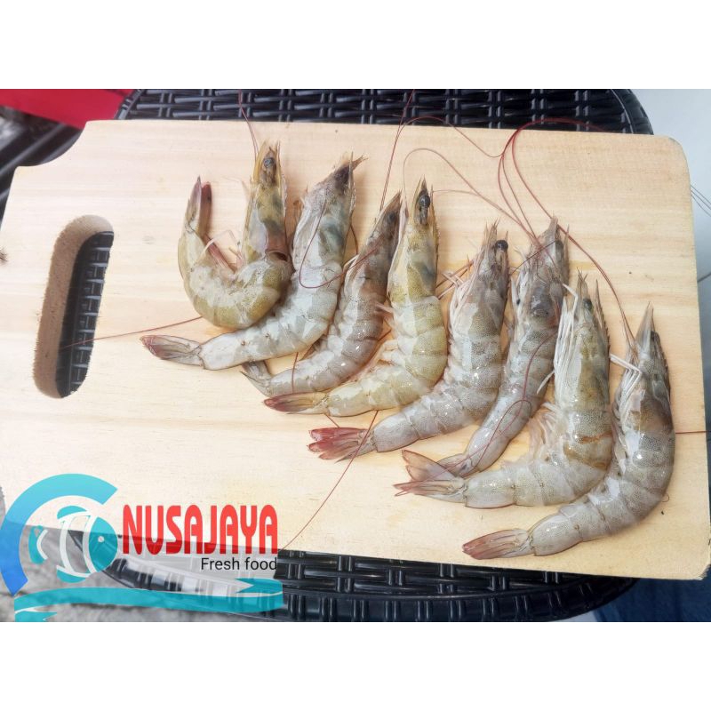 

UDANG VANAME FRESH 1KG SIZE 50-60