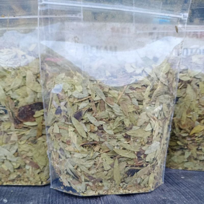 

COD daun Senna asli alami untuk pembersih usus kotor