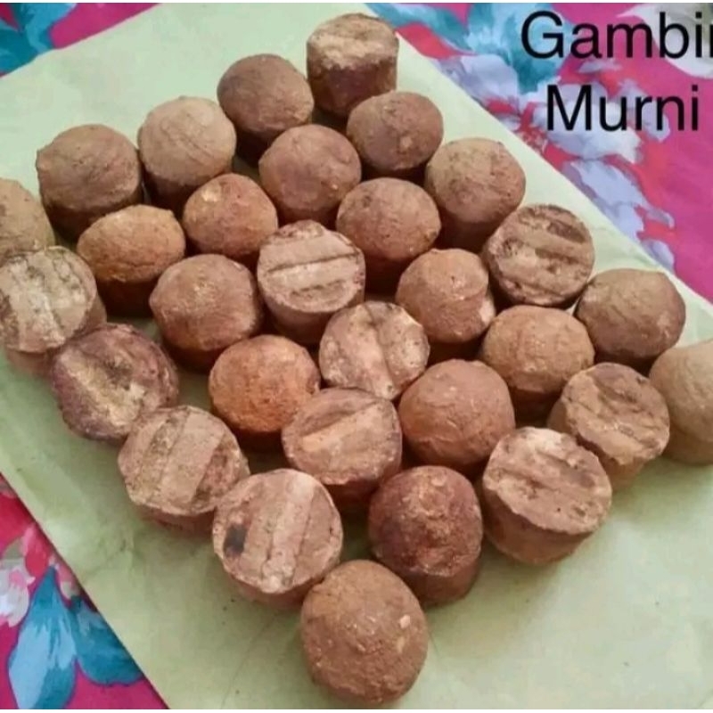 

Gambir besar murni per buah