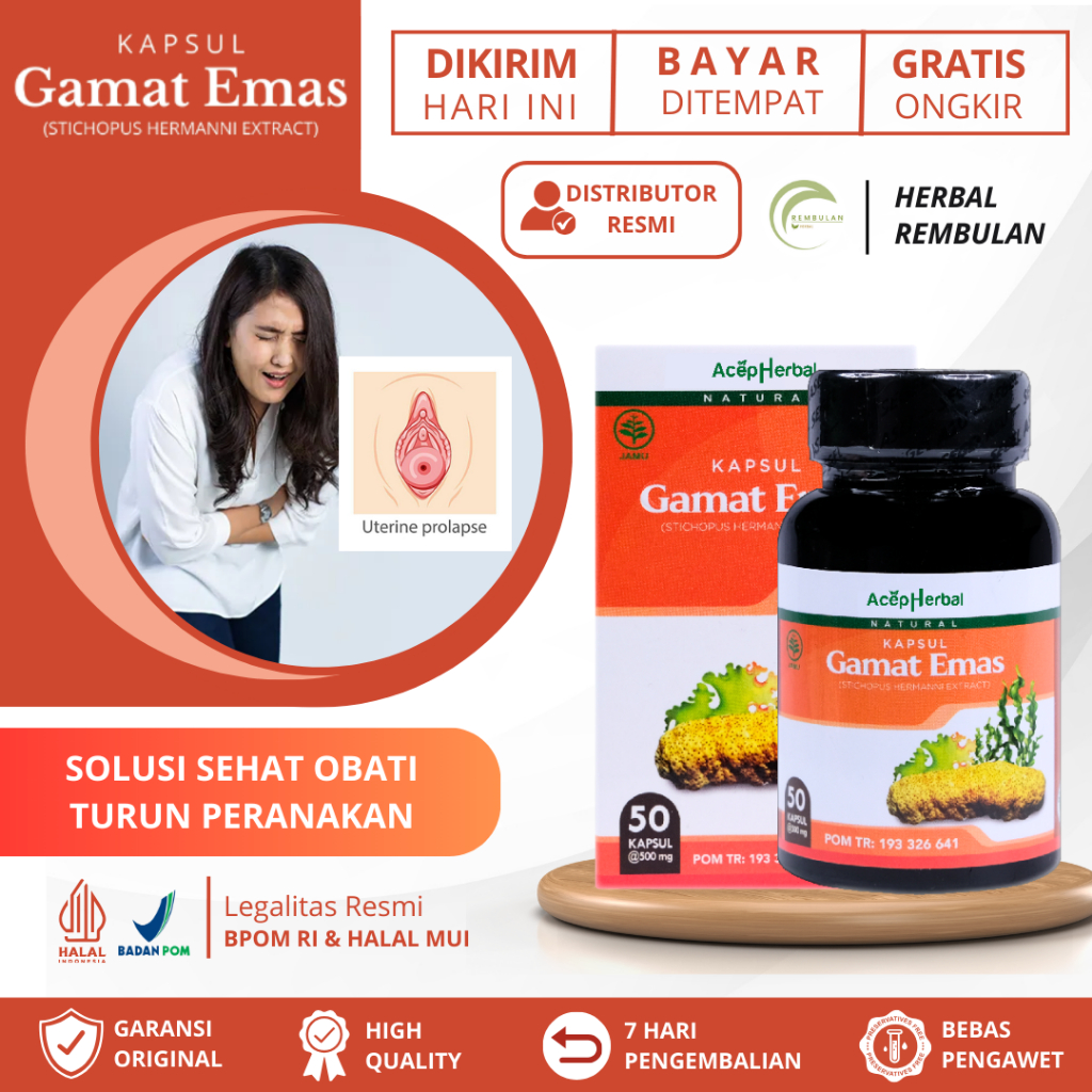 Obat Turun Peranakan, Obat Prolaps Uteri, Obat Rahim Turun, Obat Rahim Menonjol Keluar, Obat Pendara