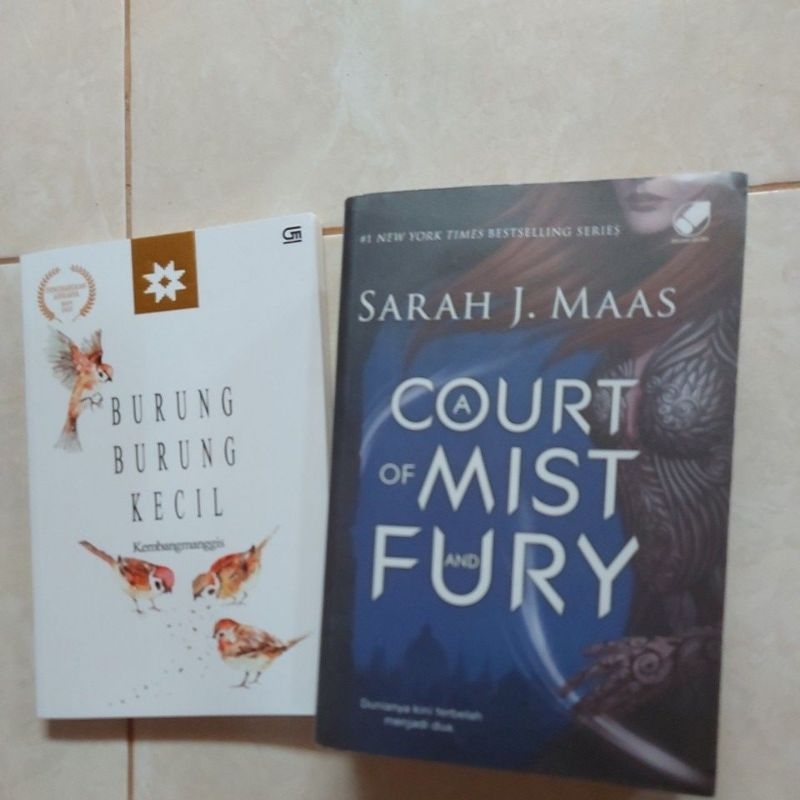 ORIGINAL a court of mist and fury SARAH J MAAS Acomaf original