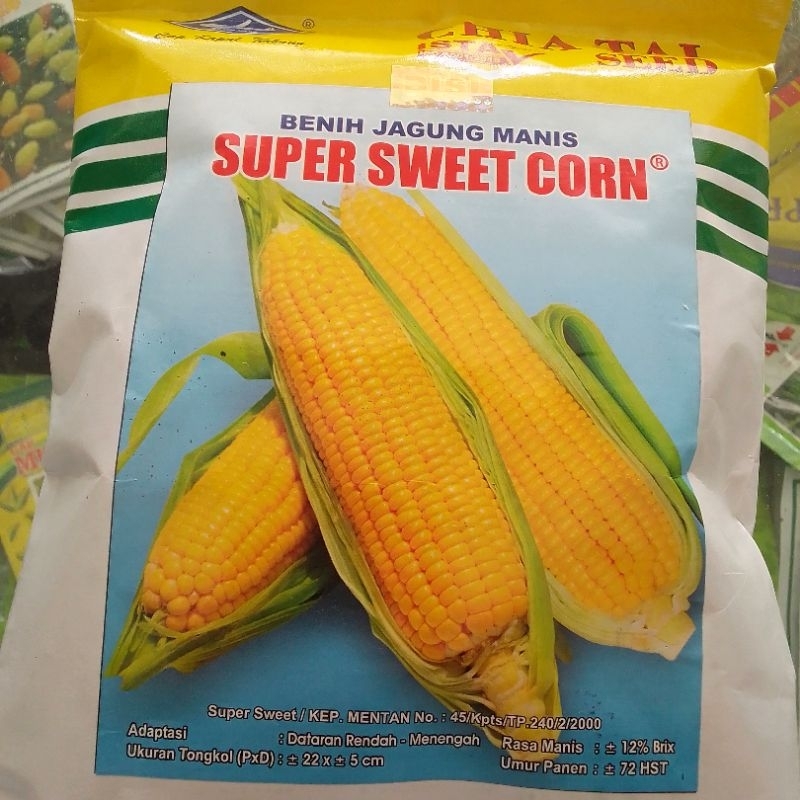 

benih jagung manis super sweet corn