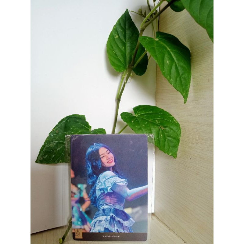 photocard JKT48 KATHRINA kick off