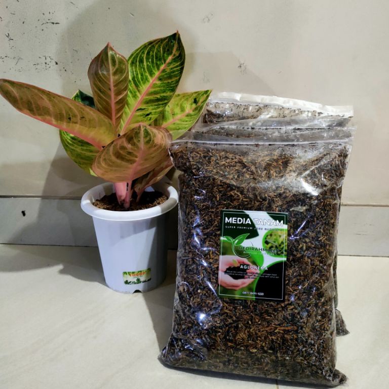 MEDIA TANAM aglonema super premium JOSS GANDOS 1kg