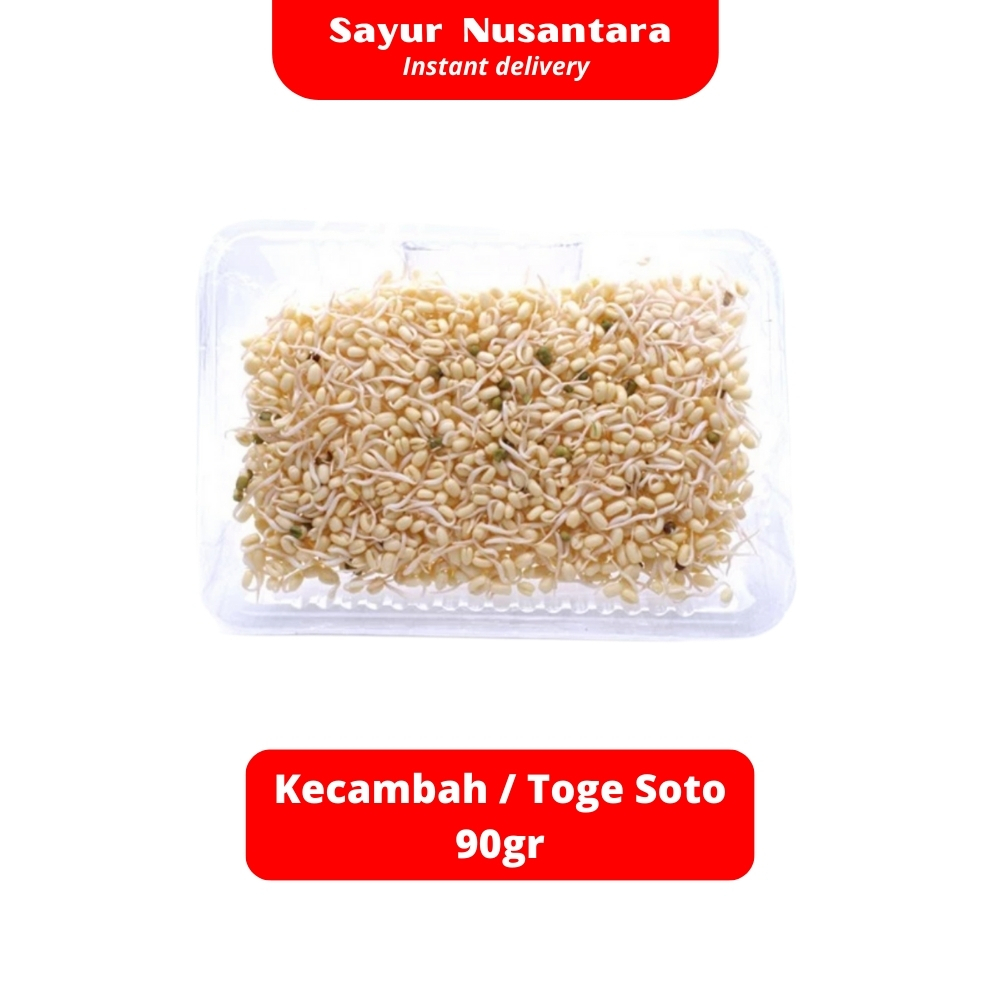 

Kecambah / Cambah / Toge Soto 100gr - Sayur Nusantara