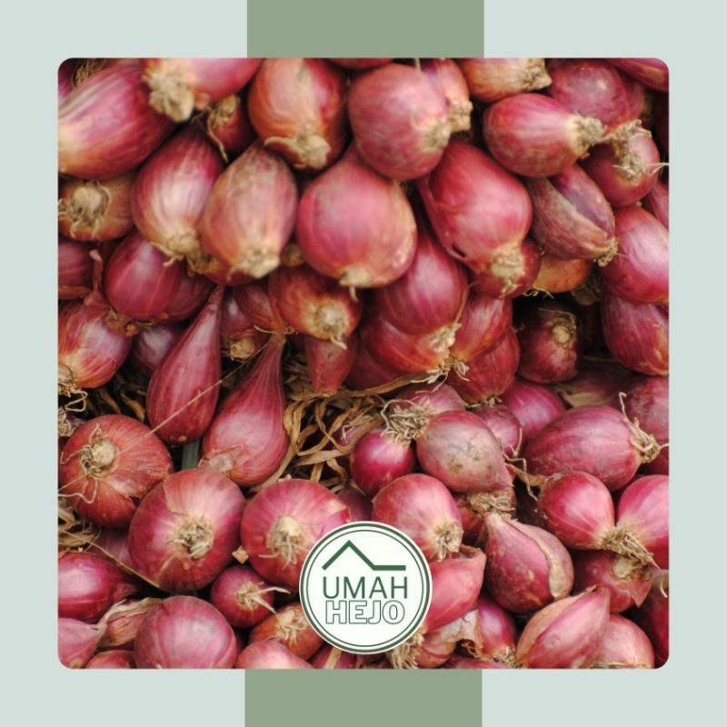 BAWANG MERAH - 100GR / 1ONS