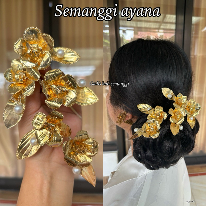 semanggi ayana/ semanggi bali/ bunga sanggul/ semanggi emas