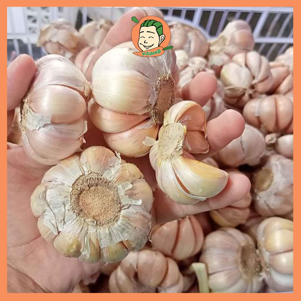 

Bawang Putih Super 1 KG