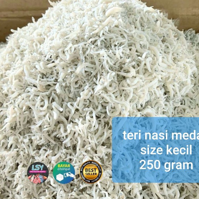 

88 ikan asin teri nasi medan size kecil 25 gram