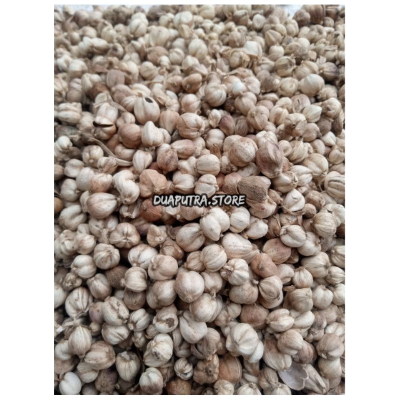 

Promo!!Kapulaga kering premium 1kg sudah dicuci
