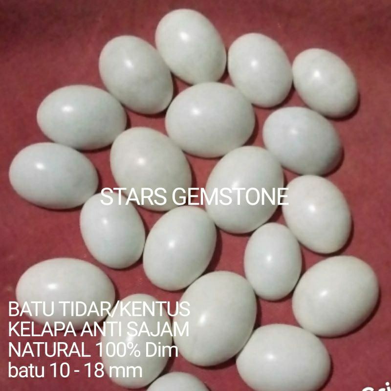 BATU CINCIN TIDAR/KENTUS KELAPA NATURAL ALAM 100%