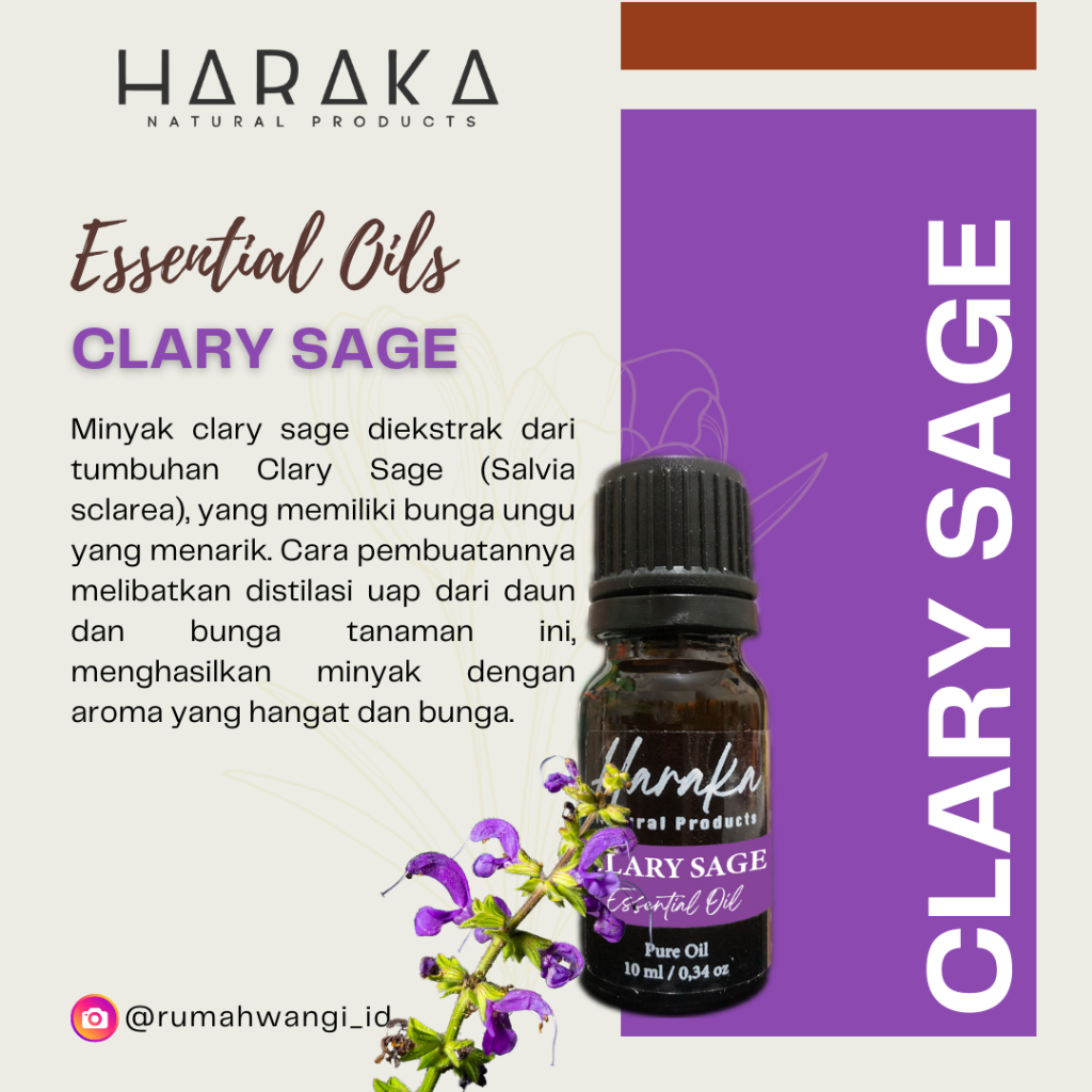 Essential Oil / Minyak Atsiri – Clary Sage Oil
