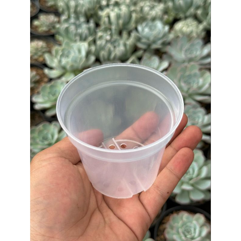 Pot 8 bening transparan