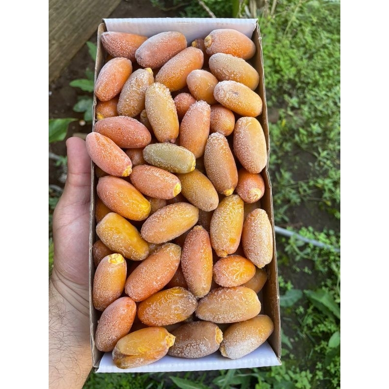 

kurma muda/ruthob 250gr