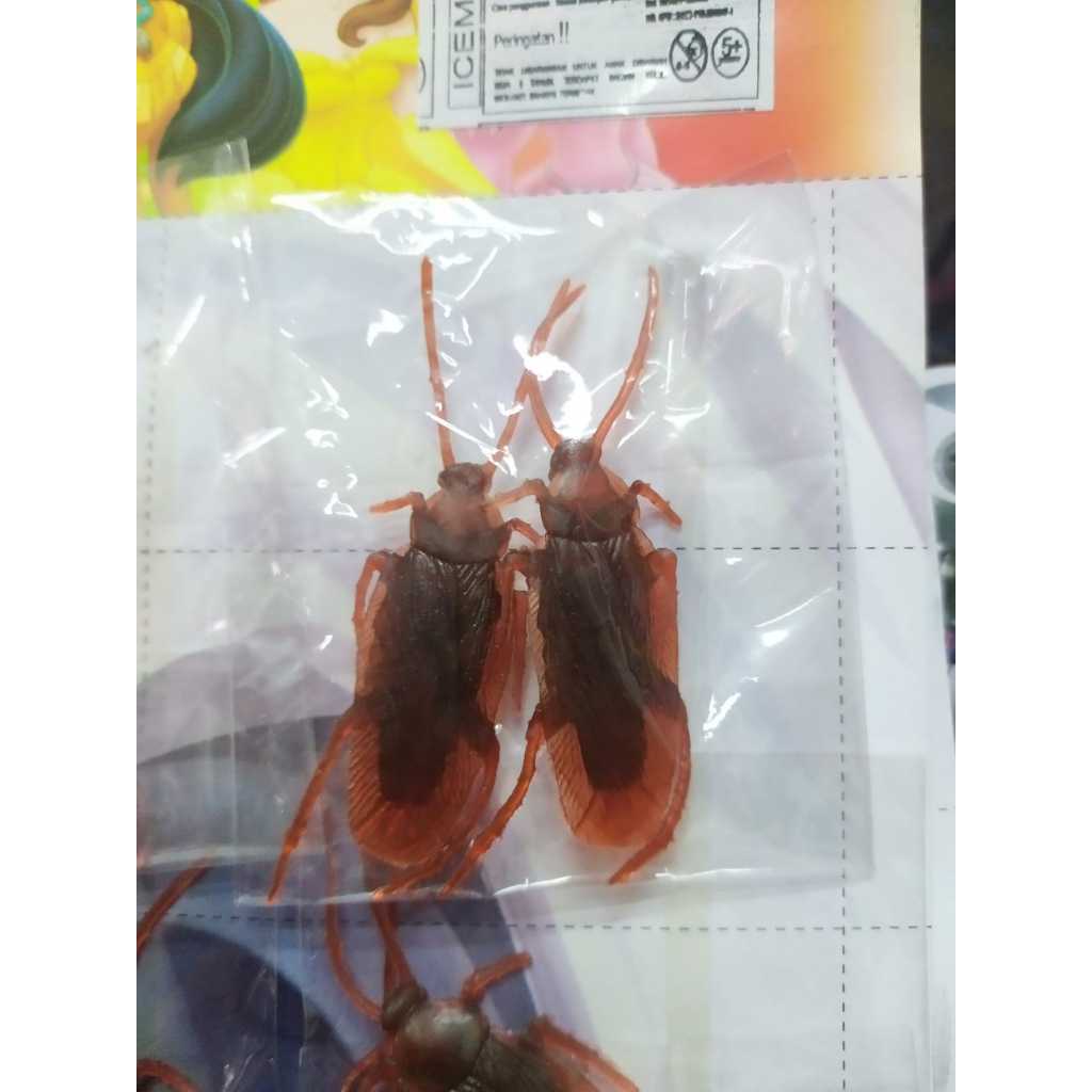 Mainan anak squishy kecoa