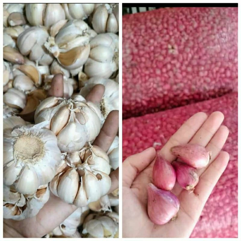 

Bawang Merah 1/2 kg + Bawang Putih 1/2 kg