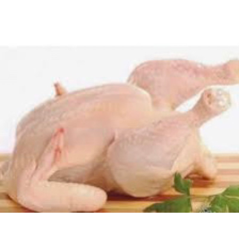 

Ayam potong segar