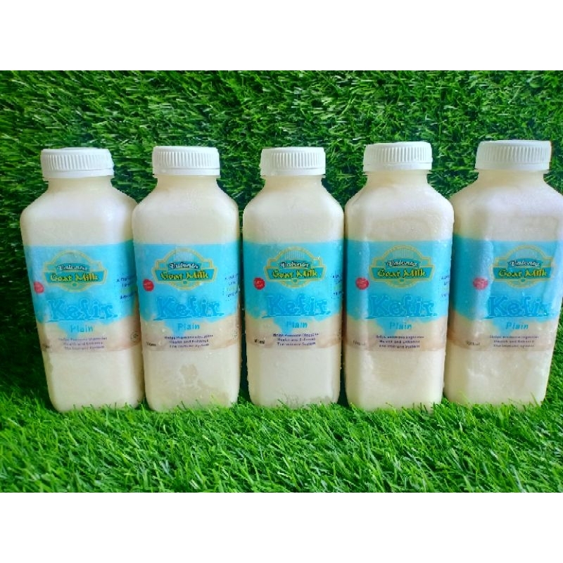 

kefir etawa organik kefir susu kambing