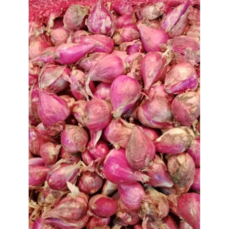 

Bawang Merah Brebes Super Fresh 1kg /Bawang Putih 1kg