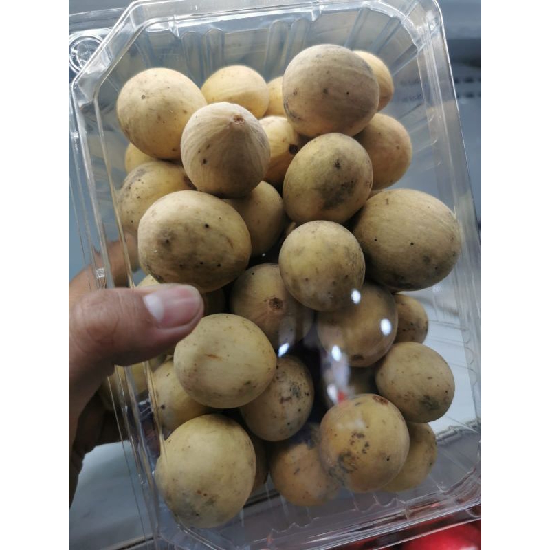 Buah Duku manis pack 1kg