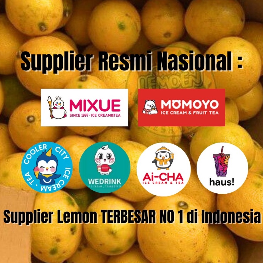 

XG34448 Jeruk Lemon California Grade B Standart 1KG Suur Lemoen ID