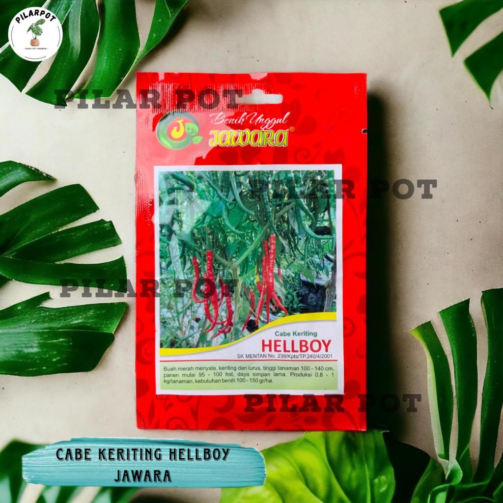 Benih Bibit Cabe Keriting Hellboy Benih Unggul Jawara - CABE KERITING HELLBOY