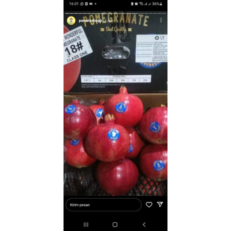 

PAKET DELIMA