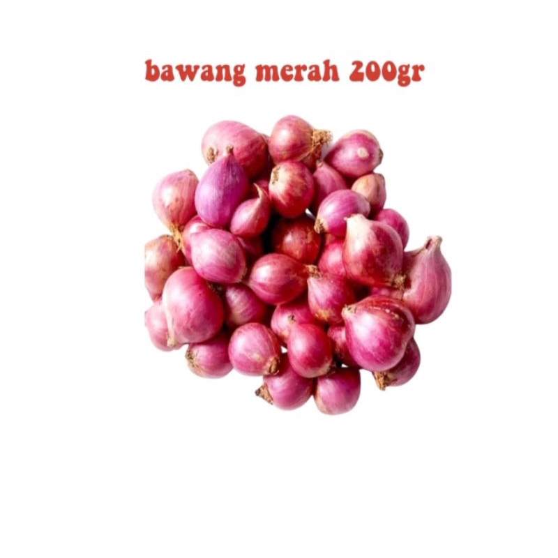 

bawang merah